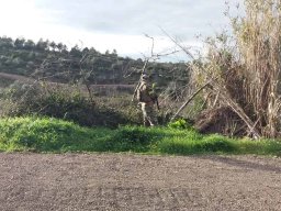 2019-02-09  COMANDOS